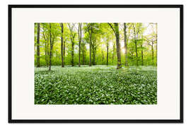 Gerahmter Kunstdruck Frühlingswald