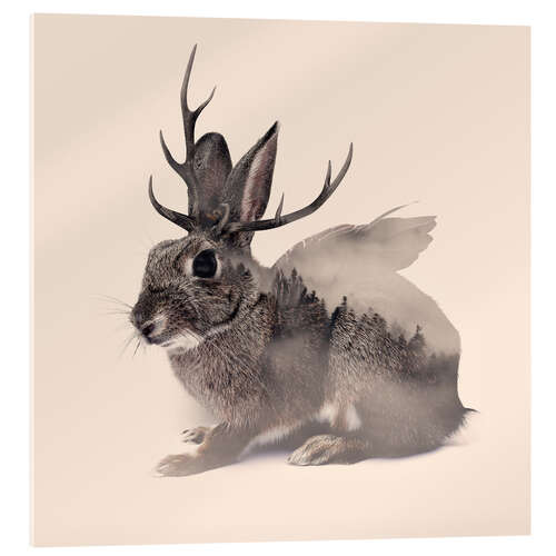 Acrylglas print Wolpertinger