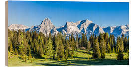 Holzbild Totes Gebirge, Österreich