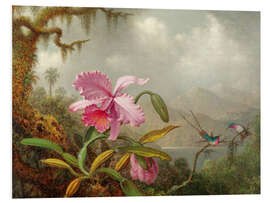 Foam board print Cattleya Orchid and three Brazilian hummingbirds