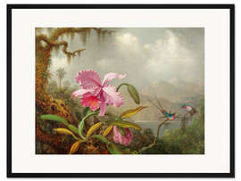 Gerahmter Kunstdruck Cattleya Orchidee und drei brasilianische Kolibris