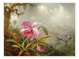 Poster Cattleya Orchid and three Brazilian hummingbirds