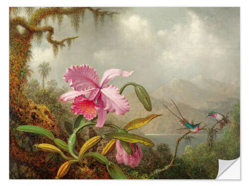 Wall sticker Cattleya Orchid and three Brazilian hummingbirds