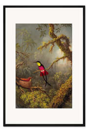 Gerahmter Kunstdruck Ein Paar Rotnacken-Topaskolibri