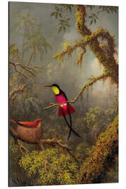 Magnettafel Ein Paar Rotnacken-Topaskolibri