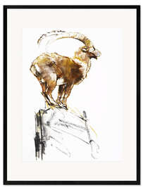 Framed art print Ibex ready to jump