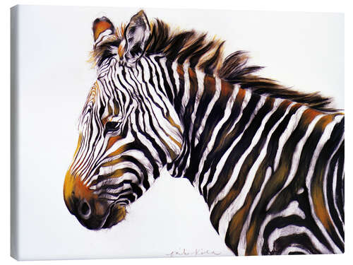 Canvas print Zebra