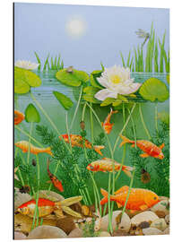 Aluminium print Gold fish pond