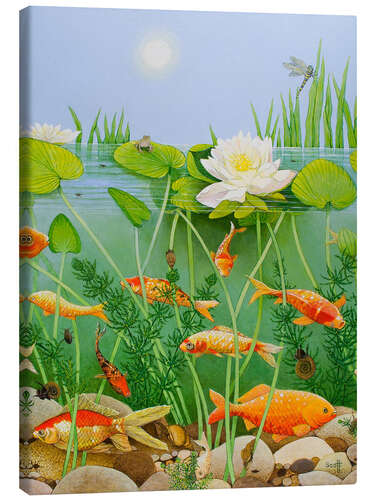 Quadro em tela Gold fish pond