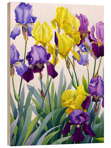 Wood print Yellow and purple irises