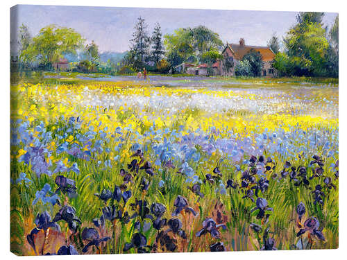 Canvas print Field of wildflowers I