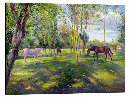 Aluminium print Horse paddock