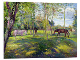 Foam board print Horse paddock