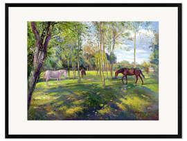 Ingelijste kunstdruk Horse paddock