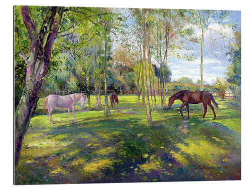 Tableau en plexi-alu Horse paddock