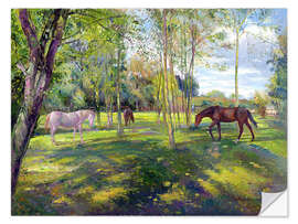 Sticker mural Horse paddock