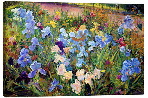 Canvas print Blue flower bed