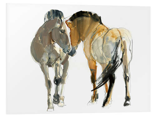 Foam board print Przewalski Horses