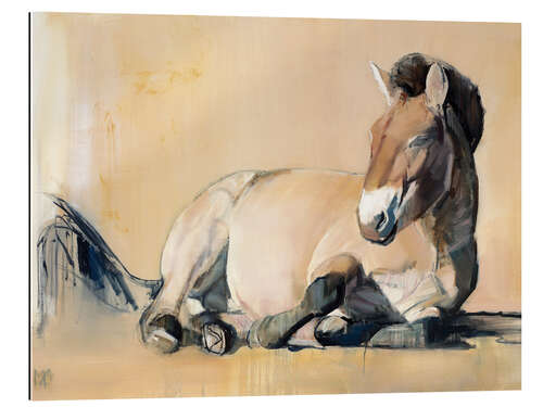 Galleriprint laying Przewalski horse