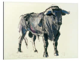 Magnettafel Spanischer Stier