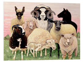 Foam board print several sheeps