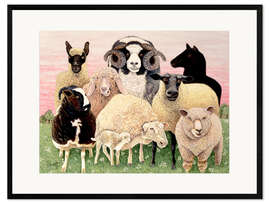 Framed art print several sheeps