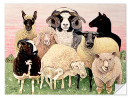 Wall sticker several sheeps