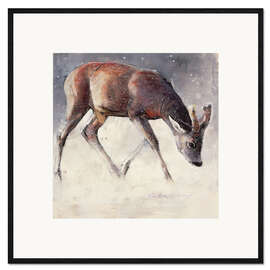 Ingelijste kunstdruk Young deer in winter