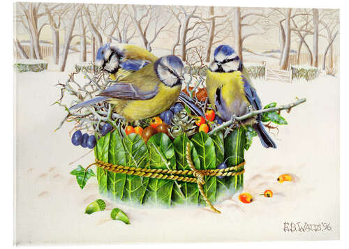 Cuadro de metacrilato Blue Tits in Leaf Nest