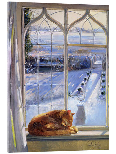 Acrylglasbild Katze im Fenster, Winter