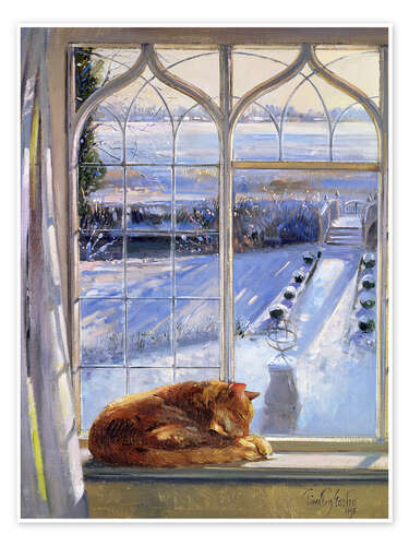 Poster Chat à la fenêtre en hiver