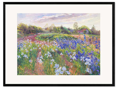 Framed art print Field of flowers
