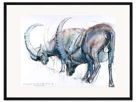 Gerahmter Kunstdruck Steinböcke auf Futtersuche 