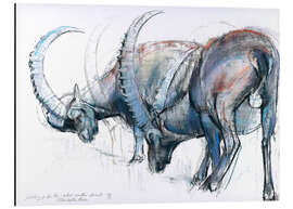 Magnettafel Steinböcke auf Futtersuche 