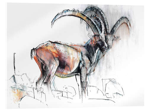 Acrylglasbild Steinbock I