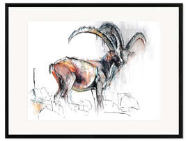 Framed art print Ibex I