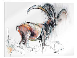 Gallery print Ibex I