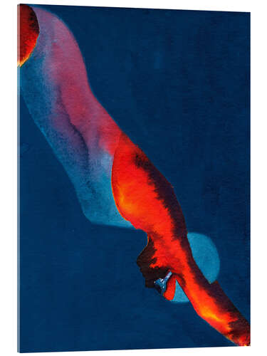 Acrylic print Diver, 2011
