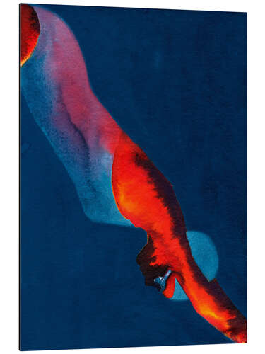 Aluminium print Diver, 2011