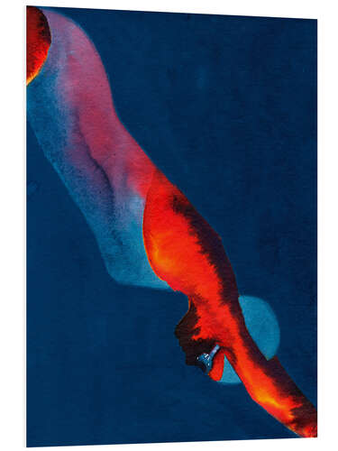 Cuadro de PVC Diver, 2011