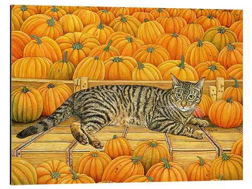 Aluminium print Cat in Pumpkin