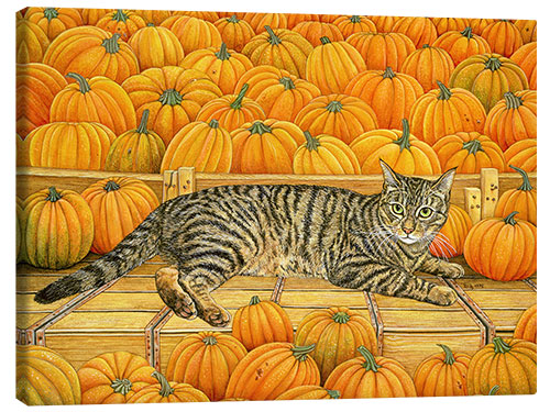 Canvas print Cat in Pumpkin