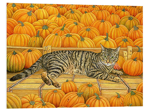 PVC-tavla Cat in Pumpkin