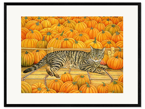 Ingelijste kunstdruk Cat in Pumpkin