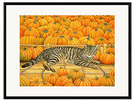 Kehystetty taidepainatus Cat in Pumpkin