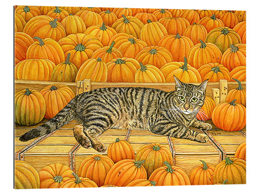 Quadro em plexi-alumínio Cat in Pumpkin