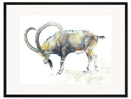 Gerahmter Kunstdruck Steinbock II