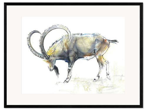 Framed art print Ibex II