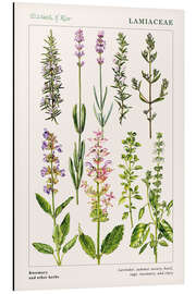 Magnettafel Rosmarin und andere Kräuter (englisch)