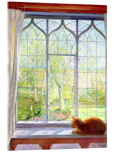 Quadro em acrílico Cat in window in spring